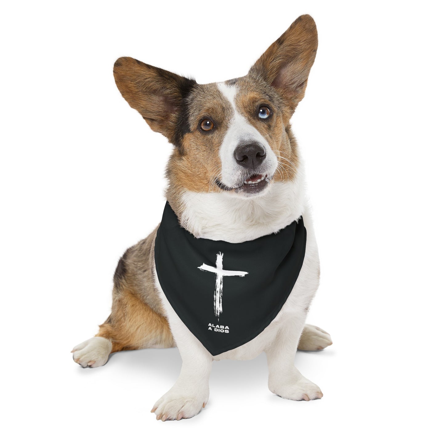 Collar de Bandana para Mascotas Negro | Alaba a Dios