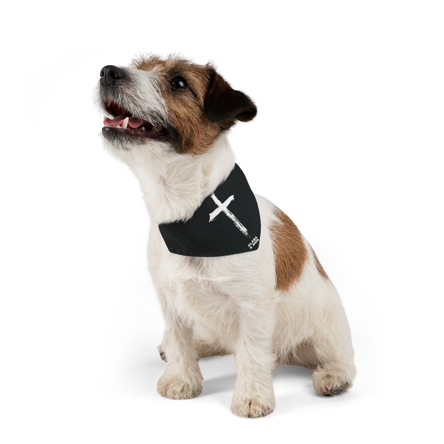 Collar de Bandana para Mascotas Negro | Alaba a Dios