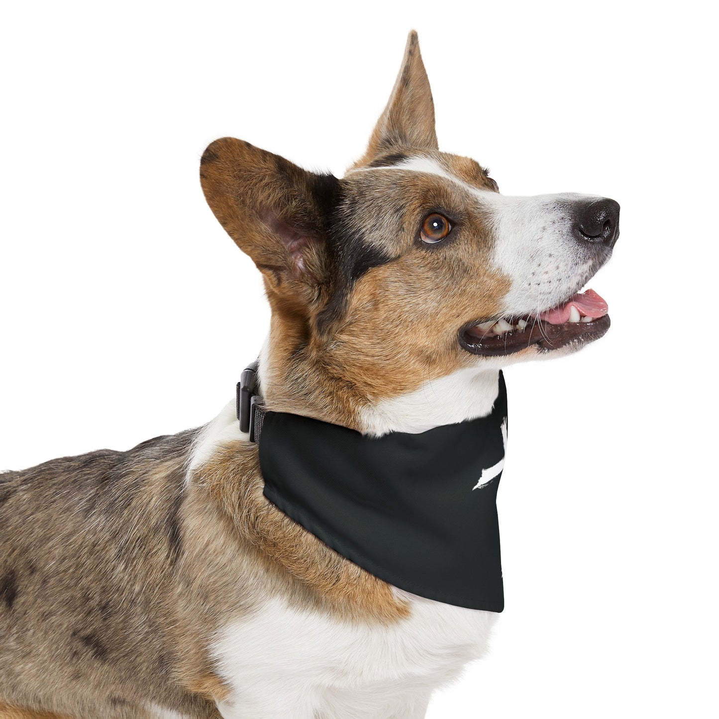 Collar de Bandana para Mascotas Negro | Alaba a Dios