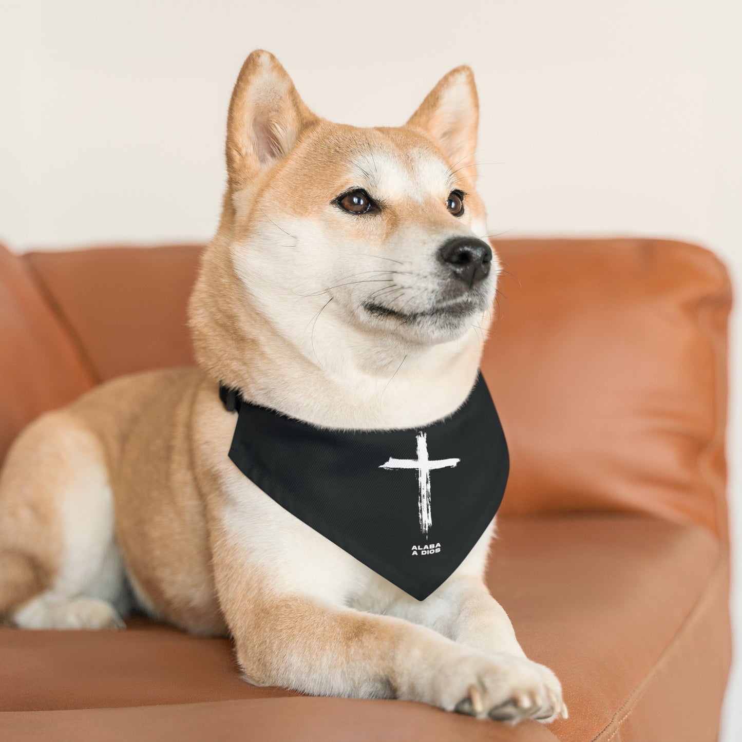 Collar de Bandana para Mascotas Negro | Alaba a Dios